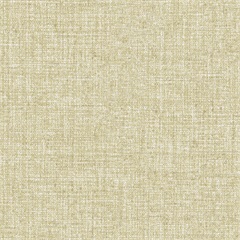 Pertinent FR Drapery Fabric